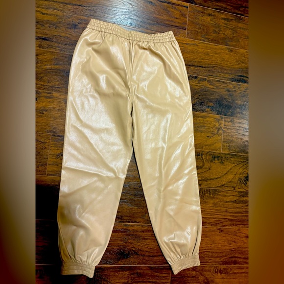 Aritzia Babaton faux leather joggers - Picture 4 of 5